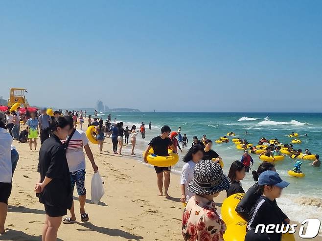 1일 개장한 강원 강릉 경포해수욕장을 방문한 피서객들이 물놀이를 즐기고 있다. 경포해수욕장은 8월 20일까지 운영된다. 2023.7.1/뉴스1 ⓒ News1 윤왕근 기자