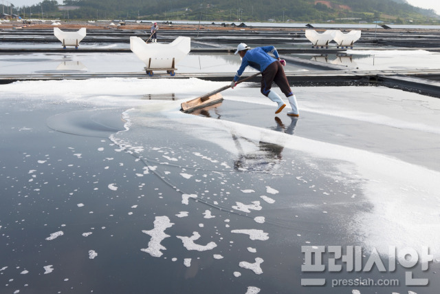 ▲염전 대파질 모습ⓒ전라남도