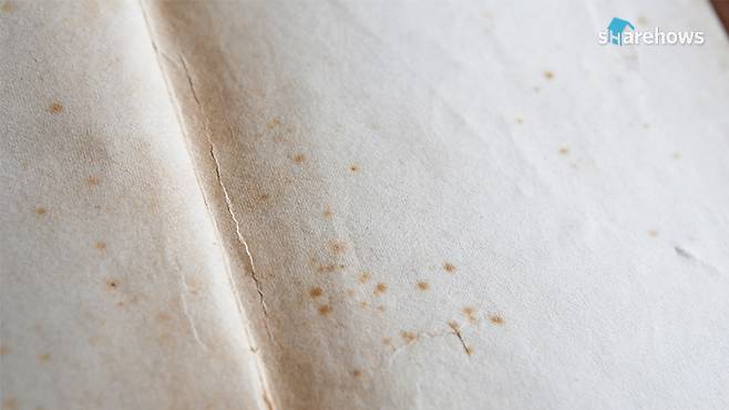 how-to-keep-your-books-neat 09_1