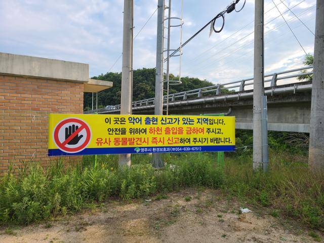 영주시 문수면 무섬마을 입구에 악어 출몰 위험 지역임을 알리는 현수막이 걸려 있다. 영주시 제공