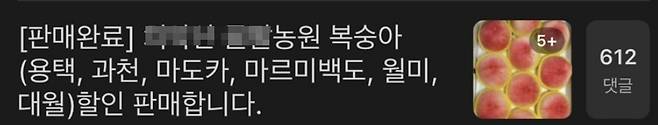 유명 농원의 복숭아 판매 공지에는 수백 개에 달하는 댓글이 금세 달린다. [인터넷 커뮤니티 캡처]
