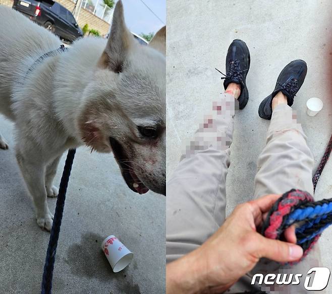 (온라인 커뮤니티 갈무리)