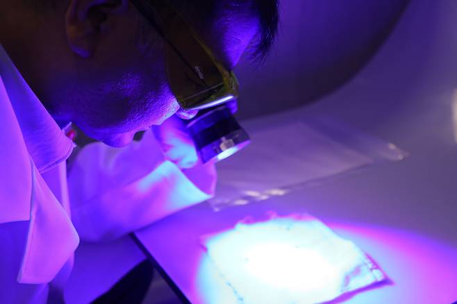 21일 서초동 대검찰청 과학수사대 연구관이 범죄현장 증거물에 빛을 비춰 DNA흔적을 찾아내고 있다 2023. 6. 21 / 이명원 기자