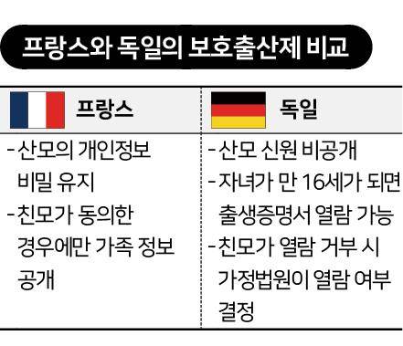 그래픽=신동준 기자