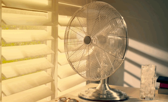 출처=www.leafly.com