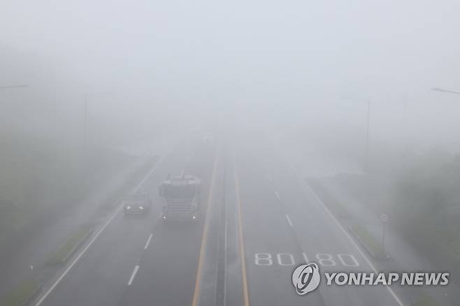 안개비 내리는 제주 [연합뉴스 자료사진]