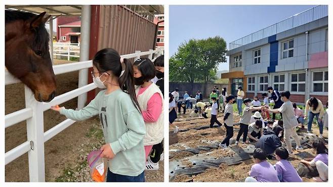 각급 학교에서 운영되고 있는 '학교자율과제'의 한 모습.ⓒ경기도교육청 제공