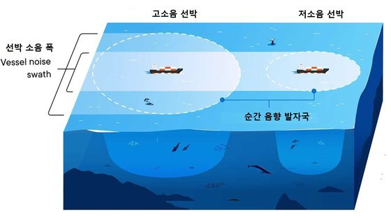 순간 음향 발자국을 설명하는 그림. 소음이 영향을 주는 범위를 물 표면에 투사한 면적을 말한다. [자료: Science Advances, 2023]