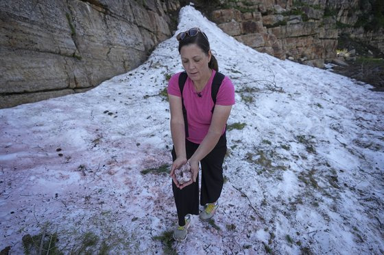 지난달 28일(현지시간) 미국 유타주에서 발견된 ‘수박 눈’을 손에 들고 관찰하는 모습. AP=연합뉴스