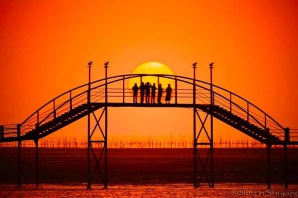 신안 짱뚱어다리 / 온라인 커뮤니티