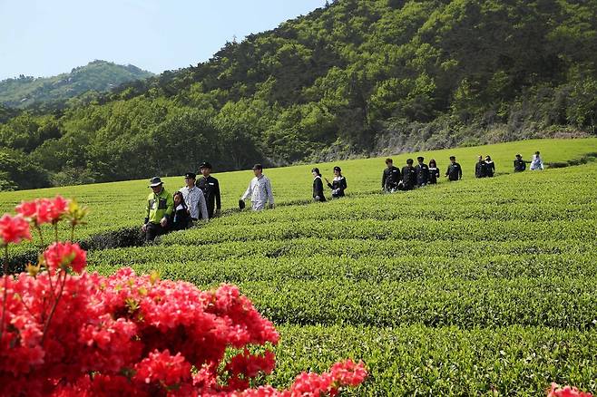 봅 소풍 축제 [강진군 제공·재판매 및 DB 금지]