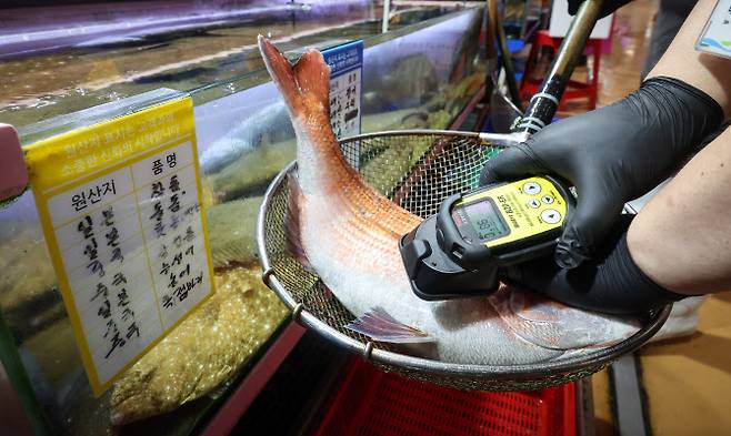 5일 오후 서울 동작구 노량진수산시장에서 직원들이 수산물 방사능 측정을 하고 있다.(사진=연합뉴스)