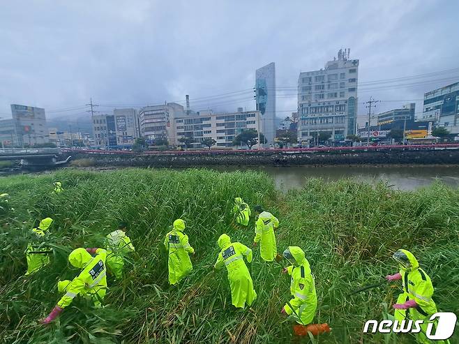 경찰이 4일 경남 거제시 고현천 주변에서 거제 영아 암매장 사건과 관련해 영아 시신을 수색하고 있다.2023.7.4/뉴스1 ⓒ News1 강미영 기자