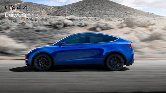 테슬라,모델 Y