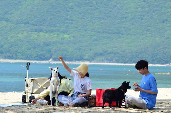 거제 명사 해수욕장 전경./사진=경남도 제공