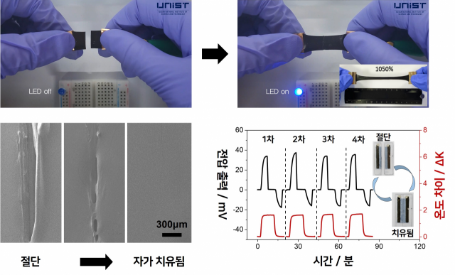 개발된 이온성 고분자 열전소재의 자가 치유 능력과 신축성. 그림=유니스트