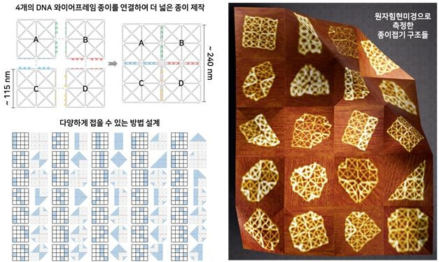 DNA 와이어프레임 종이로 만든 나노구조체 [김도년 서울대 교수팀 제공. 재판매 및 DB 금지]