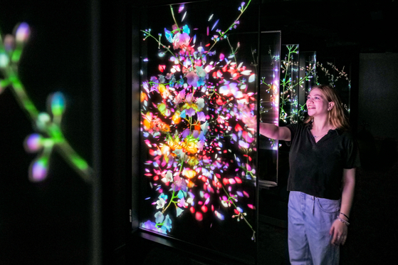 A visitor looks at the "Blooming Strings" media artwork which utilizes LG Display's transparent OLED panel at Artechouse in Washington D.C. [LG CORP.]