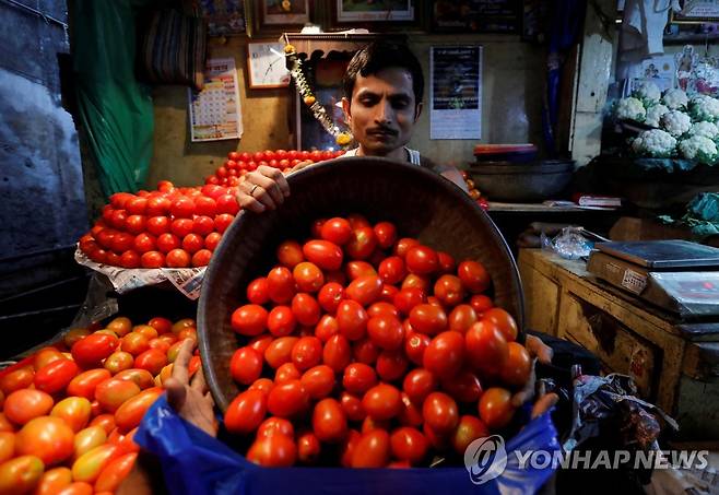 토마토를 판매하는 인도의 한 상인  [로이터 연합뉴스 자료사진. 재판매 및 DB 금지]