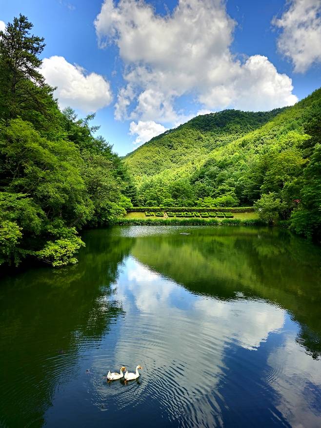 만인산자연휴양림 호수.