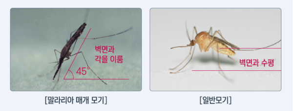 사진=질병관리청