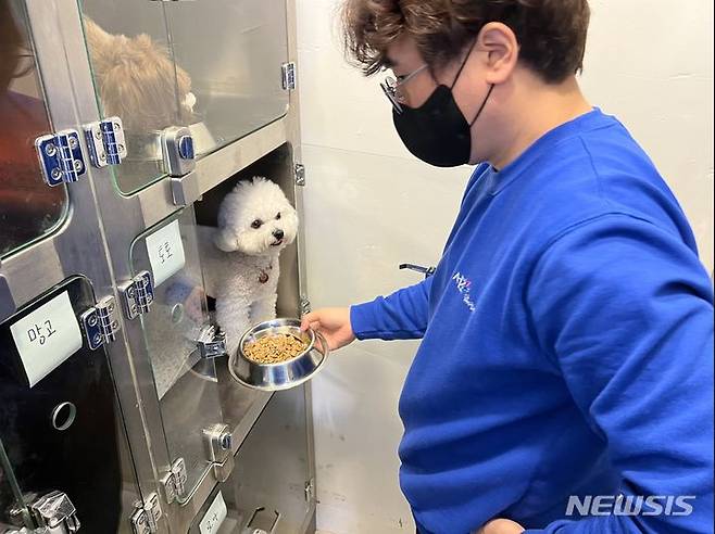 [서울=뉴시스]서울 서초구는 여름 휴가기간 동안 반려견의 돌봄 부담을 덜기 위해 '반려견 돌봄쉼터'를 마련한다고 9일 밝혔다. (사진=서초구 제공). 2023.07.09. photo@newsis.com