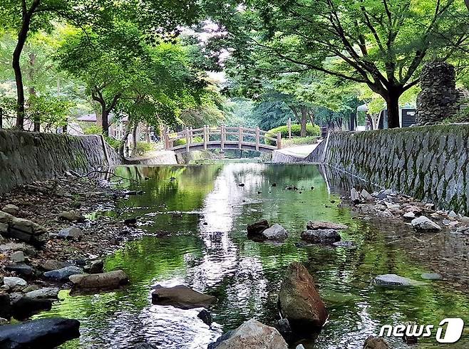 여름 휴가철을 맞아 수도권과 가까운 곳에서 다양한 체험을 할 수 있는 충북 음성이 주목받고 있다. 사진은 봉학골 산림욕장.(음성군 제공)2023.7.10/뉴스1