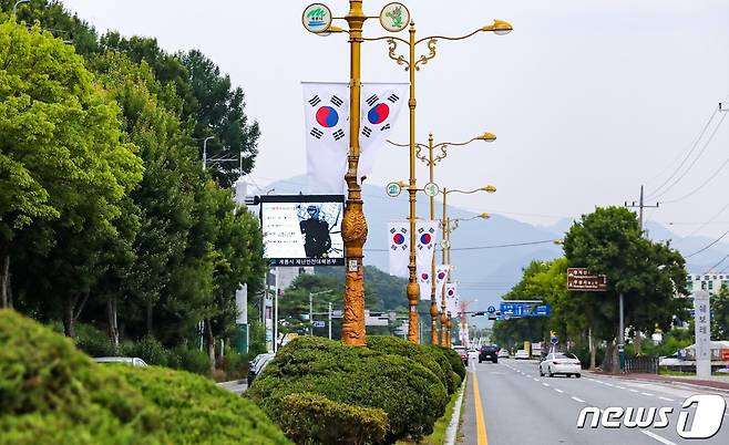 계룡시 주요 도로변 태극기 게양 모습. (계룡시 제공) /뉴스1