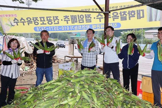 충북 괴산군은 7일 장연면 광진리에서 대학찰옥수수 첫 출하 행사를 열었다. 괴산군 제공