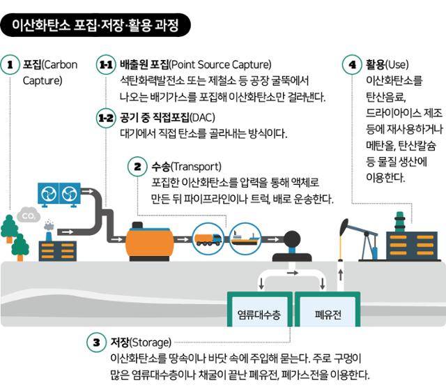 이산화탄소 포집 저장 활용 과정. 그래픽=신동준 기자