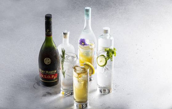 브랜디를 이용한 하이볼 원조(레몬 슬라이스 장식)와 우리술 ‘소주다움45’(45도, 로즈마리), ‘문화재·명인 조옥화 안동소주’(45도, 꽃잎), ‘탱자C’(40도, 민트)를 사용한 한국판 하이볼. 최영재 기자