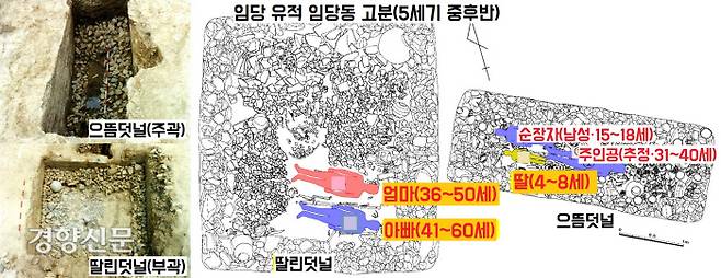 5세기 중후반에 조성된 무덤에서는 부모와 함께 4~8세 여아가 순장된 모습도 보였다. 무덤 주인공이 죽자 일가족 3명이 한꺼번에 순장된 것이다. 순장자의 딸은 무덤 주인공과 함께, 부모는 딸린덧널에 각각 묻혔다.|영남대박물관 제공