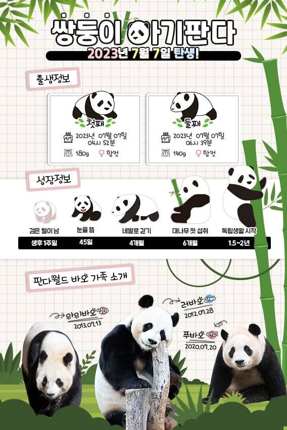 /사진=삼성물산