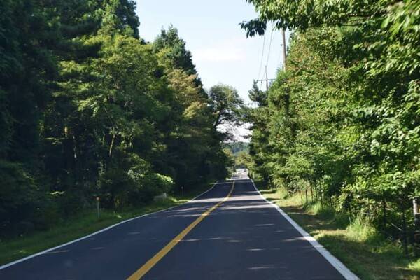 네이버블로그'euphoria98'