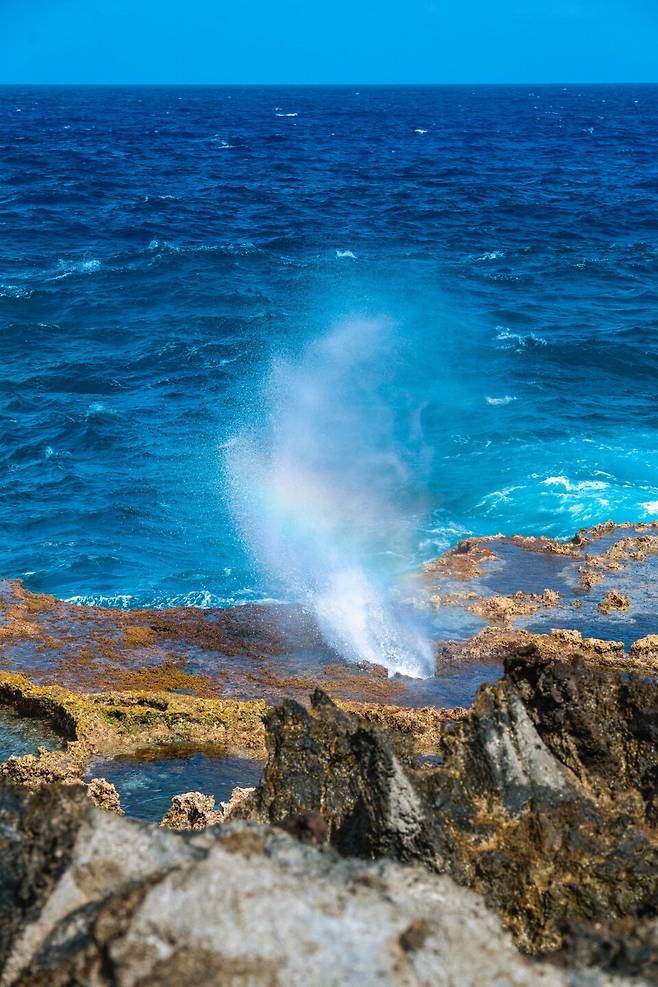 블로우 홀은 산호초 구멍을 뚫고 물줄기가 솟구쳐 분수를 만드는 곳이다. 그 옆으로 천연 수영장이 있지만 파도가 센 날은 위험할 수 있다