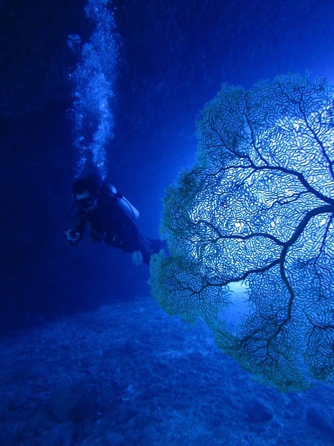 티니안 바다 속을 탐험했다. 지금까지 만나지 못한 세상. 숨 쉬는 법도 달랐다