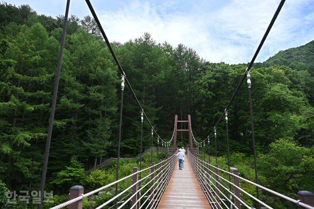 무흘구곡 제9곡 용추로 가는 출렁다리.