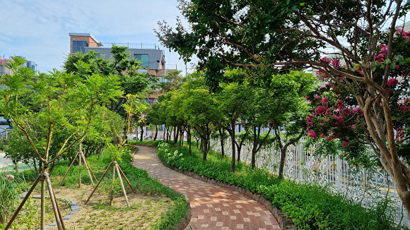 황금초등학교 학교숲 전경 [사진=대구시]