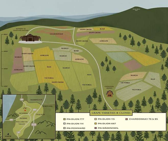 쉐할럼 빈야드 와인별 포도밭 위치와 클론.