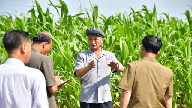 김덕훈 북한 내각 총리(왼쪽 세 번째)가 농업부문 사업을 현지에서 요해(파악) 했다고 조선중앙통신이 10일 보도했다. 평양=조선중앙통신 연합뉴스