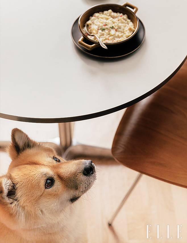 양배추 크림스튜를 올려다 보는 밀스.