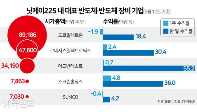 닛케이225 내 대표 반도체·반도체 장비 기업. 그래픽=김문중 기자