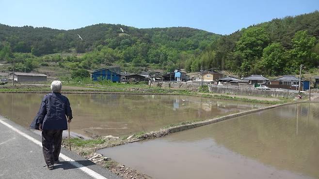 창녕 마을주민이 따오기 서식지를 관찰하고 있다. (사진=창녕군 제공) *재판매 및 DB 금지