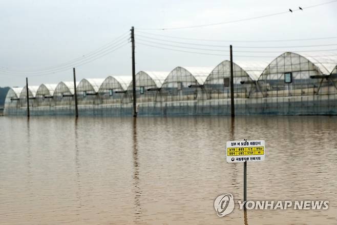 '벼는 안 보이고' (익산=연합뉴스) 정경재 기자 = 16일 전북 익산시 용안면 한 시설하우스 인근 논이 폭우로 물에 잠겨 있다. 2023.7.16 jaya@yna.co.kr