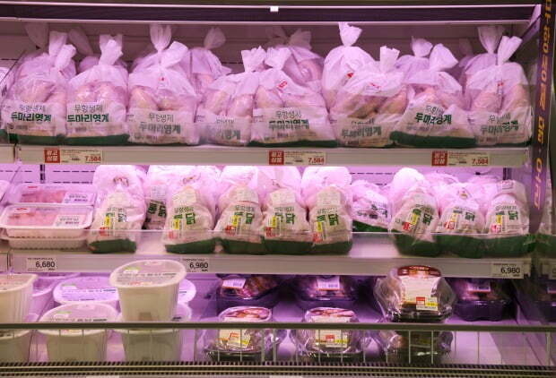 서울 시내 대형마트에 닭고기 판매대 모습[사진 = 연합뉴스]