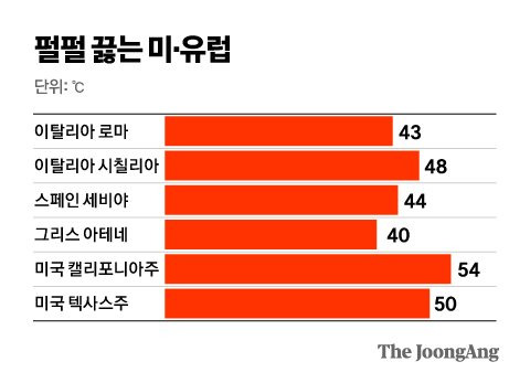 김영옥 기자