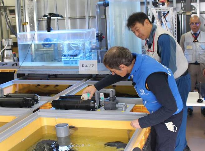 라파엘 그로시 IAEA(국제원자력기구) 사무총장이 이달 초 일본 도쿄전력을 방문해 '해양생물 사육' 현장을 둘러보고 있다. 도쿄전력은 오염수 속 방사성 물질을 다핵종제거설비(ALPS)로 처리한 물에서 넙치가 건강하게 자라고 있다고 밝혔다. / 사진제공=도쿄전력