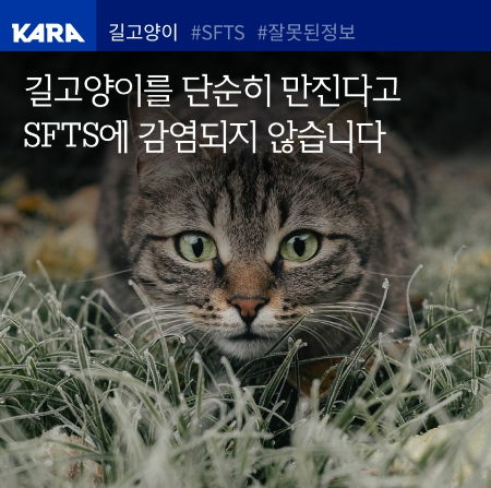 /사진=동물권행동 카라