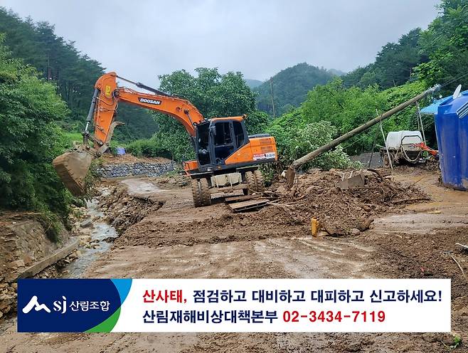 [산림조합중앙회 제공.재판매 및 DB 금지]