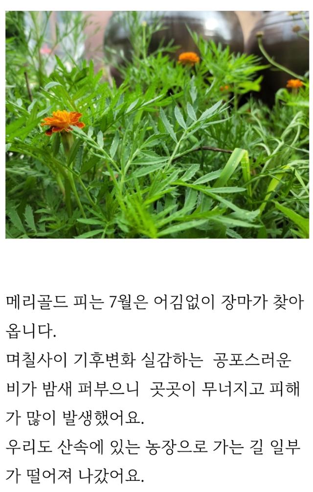 '집밥 활동가' 전명배씨가 숨지기 8일 전인 7일 자신의 블로그 '집밥 전선생'에 올린 글. 화면 캡처